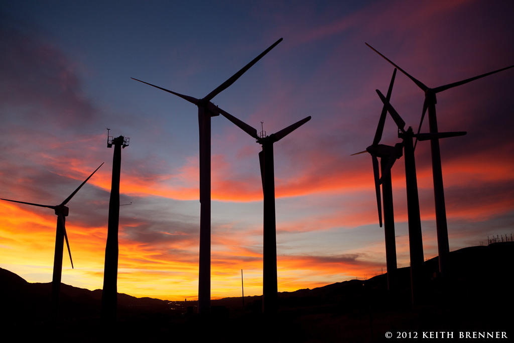 Palm Springs Wind Mills