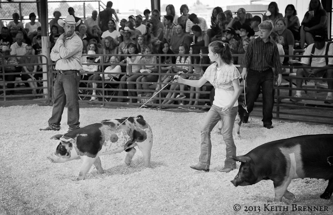 Best of Show