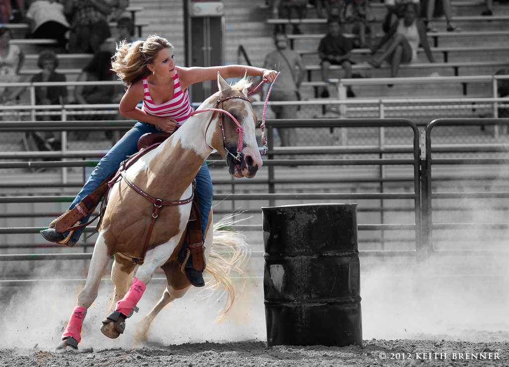 Boulder County Fair