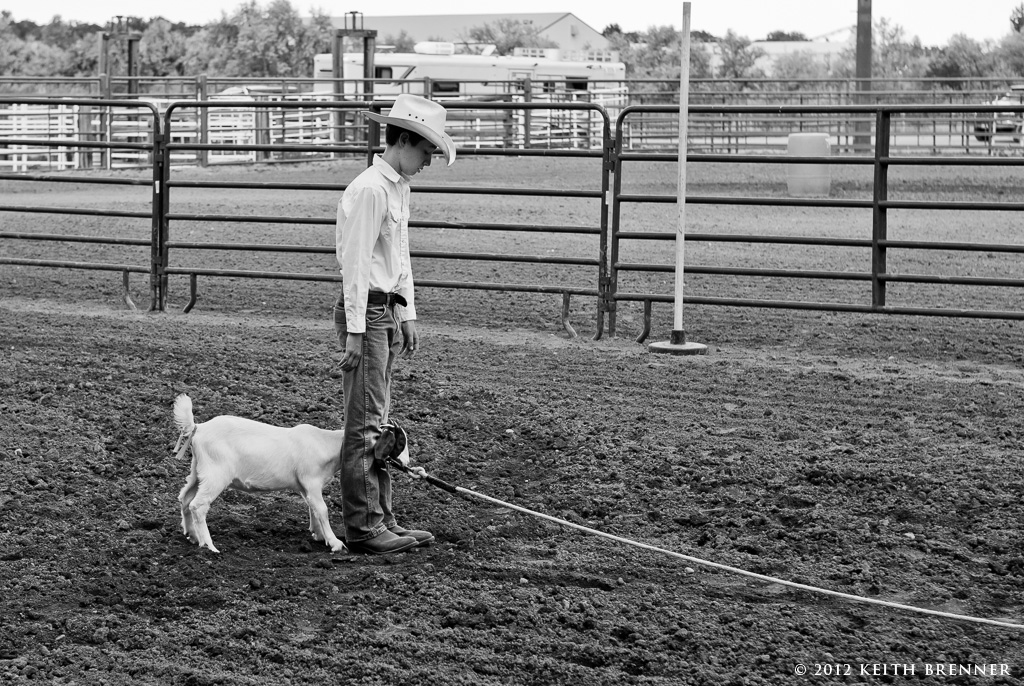 Boulder County Fair