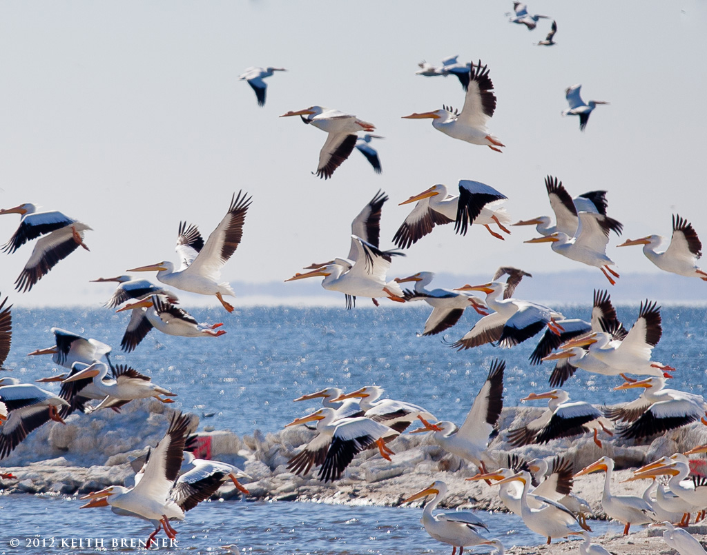 Salton Sea, California