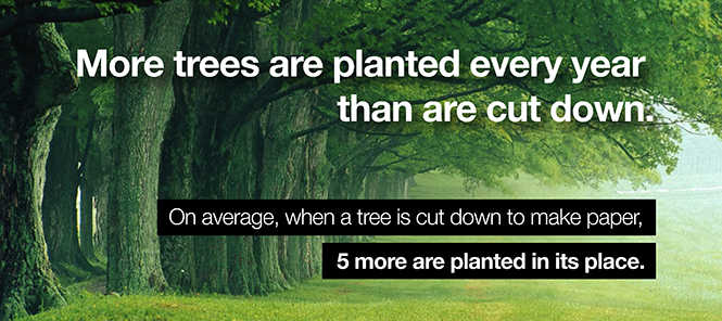 Trees are a renewable resource
